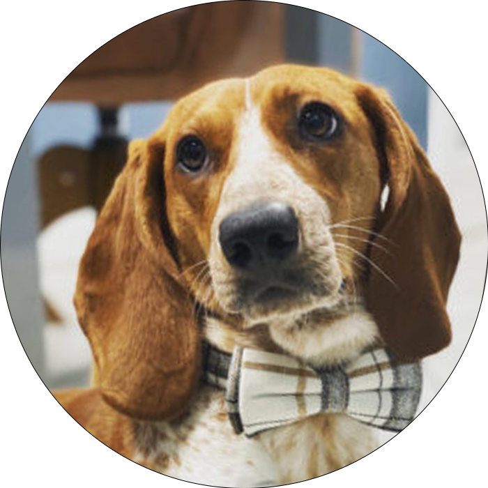 Dewey